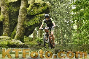 Photo 4241011