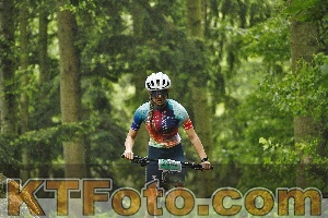 Photo 4241022