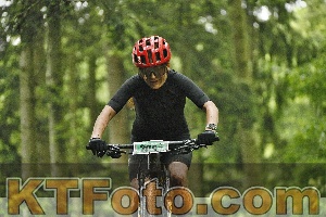 Photo 4241141