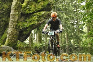 Photo 4241144