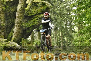 Photo 4241199