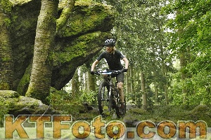 Photo 4241212