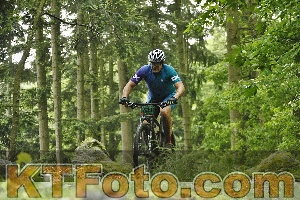 Photo 4241220