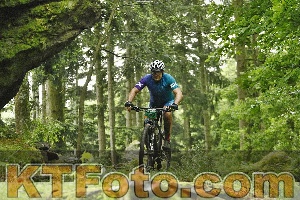 Photo 4241221