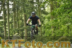 Photo 4241225