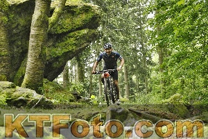 Photo 4241231