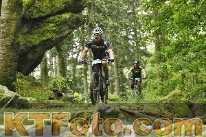 Photo 4241234