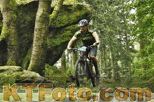 Photo 4241238