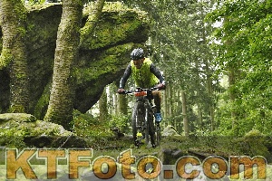 Photo 4241243