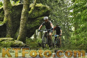Photo 4241248