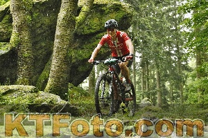 Photo 4241252