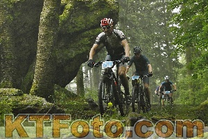 Photo 4241279