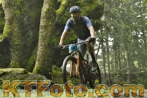 Photo 4241285