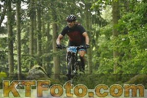 Photo 4241301