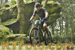 Photo 4241338