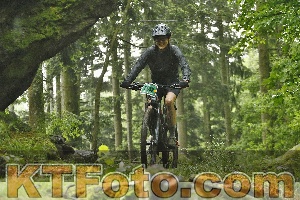 Photo 4241344