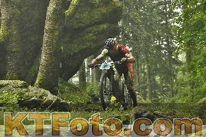 Photo 4241347