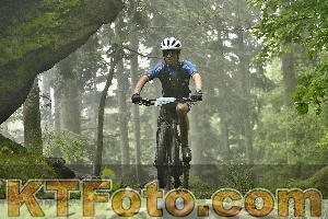 Photo 4241372