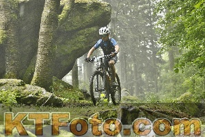 Photo 4241373