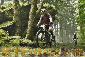 Photo 4241392