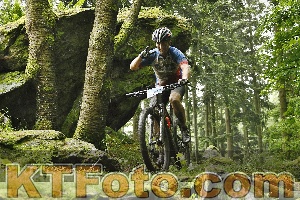 Photo 4241399