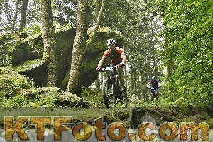 Photo 4241407