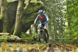 Photo 4241410