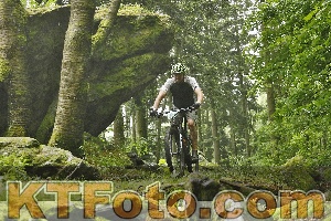 Photo 4241412