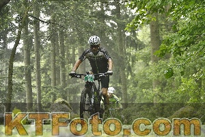 Photo 4241451