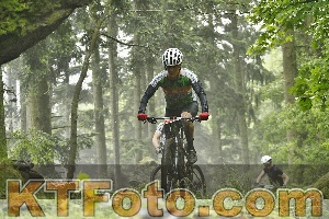 Foto 4241511