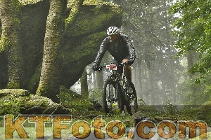 Photo 4241584