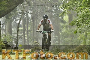 Photo 4241587