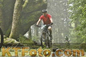 Photo 4241597