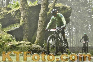 Photo 4241599