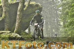 Photo 4241602