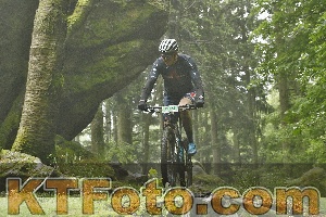Photo 4241632