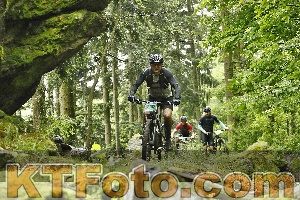 Photo 4241641