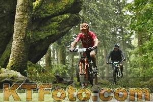 Photo 4241672