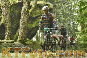 Photo 4241780