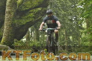 Foto 4241793