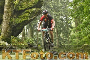Photo 4241801
