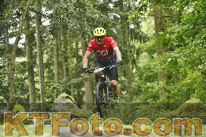 Foto 4241828