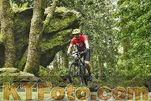 Foto 4241829