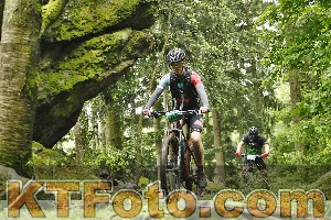Photo 4241842