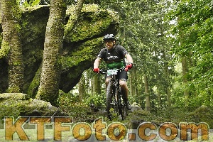 Photo 4241848