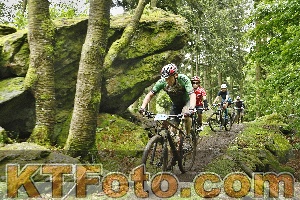 Photo 4241853