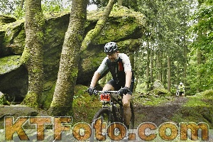 Photo 4241862