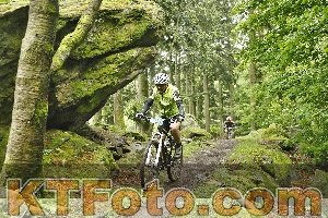 Photo 4241865