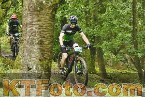 Photo 4241870