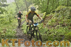 Photo 4241887